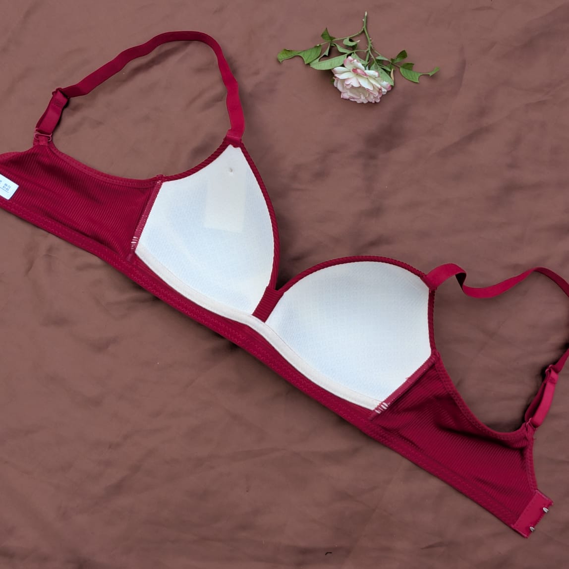 French Cups Soft & Light Padded Daily Wear Bra