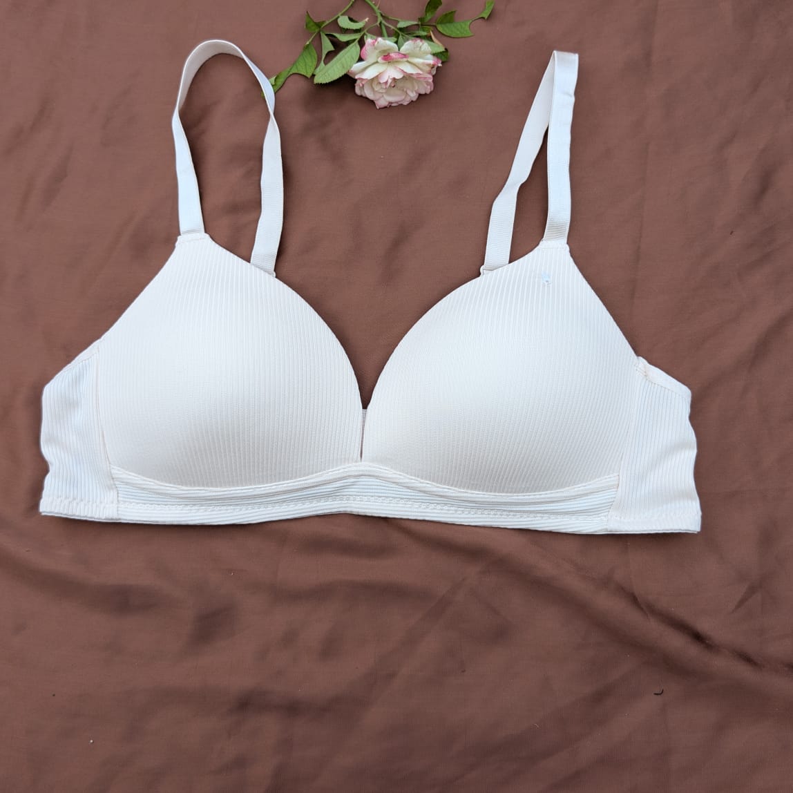 French Cups Soft & Light Padded Daily Wear Bra